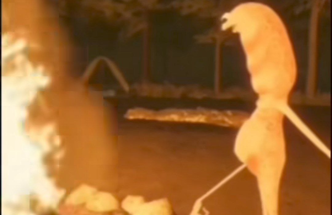  من این سنگو دوس ندارم شبیه داشاقه گوتوم یاندی رابرت